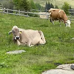 Haus Kleiner Seeblick Millstatt