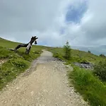 Apartamento Haus Kleiner Seeblick Millstatt