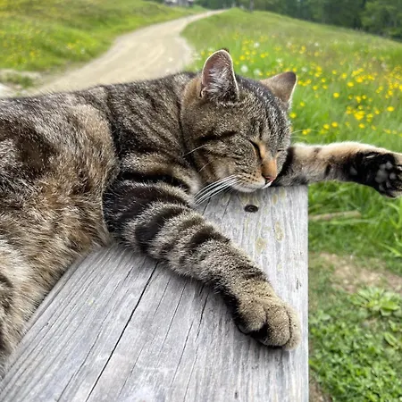 Haus Kleiner Seeblick *