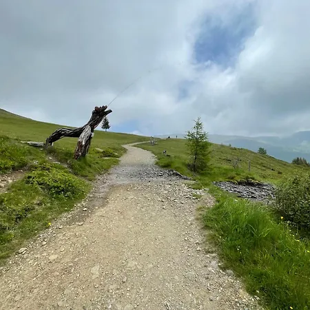 شقة Haus Kleiner Seeblick ميلستاف