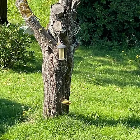 Haus Kleiner Seeblick Daire Millstatt
