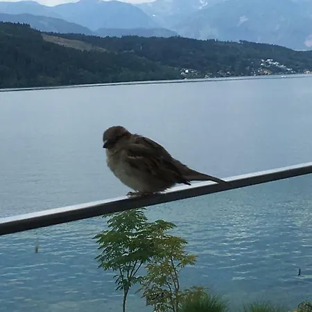 Haus Kleiner Seeblick Millstatt