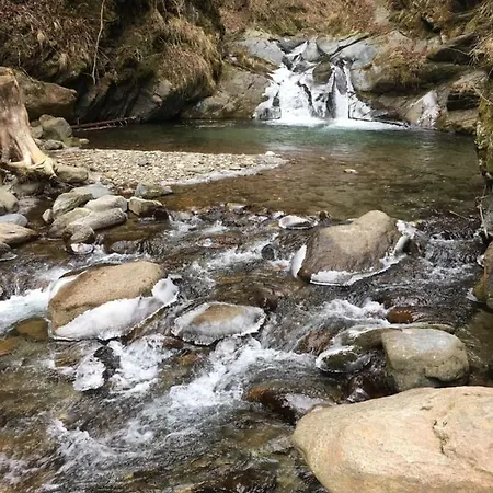 Haus Kleiner Seeblick Daire *