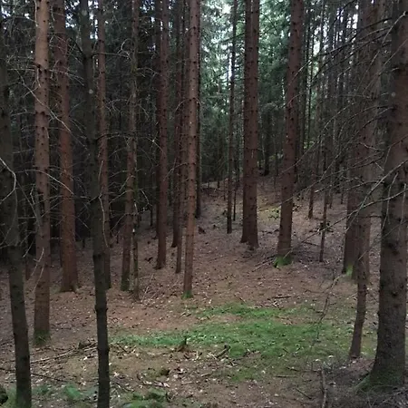 Haus Kleiner Seeblick شقة