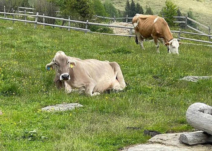 Haus Kleiner Seeblick Millstatt