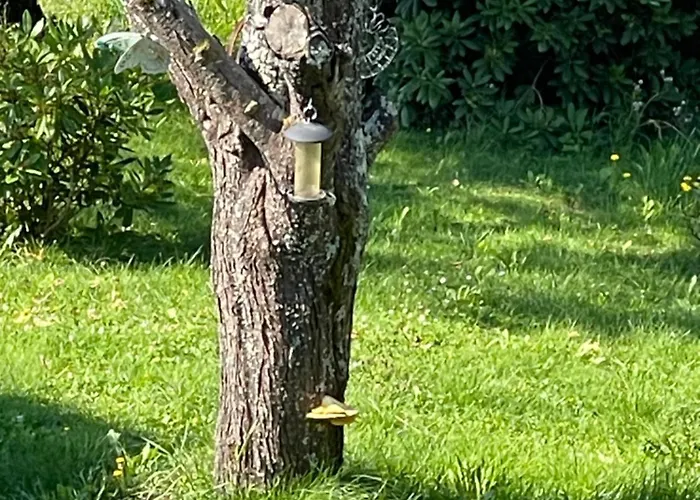 Haus Kleiner Seeblick Apartmán Millstatt