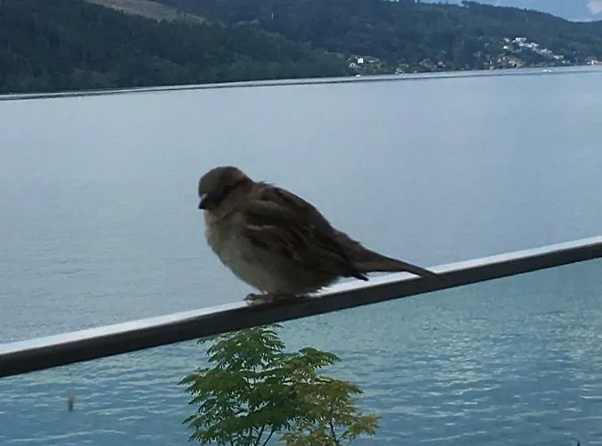 Haus Kleiner Seeblick Millstatt