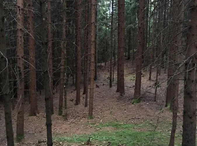 Haus Kleiner Seeblick Appartement