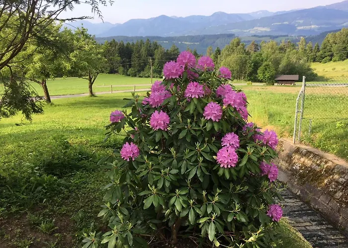 Haus Kleiner Seeblick *